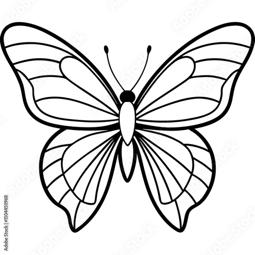 leafwing butterfly line art vector  photo