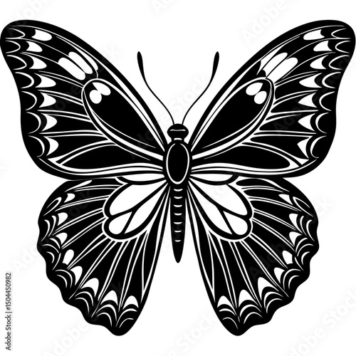 leafwing butterfly vector on white background photo