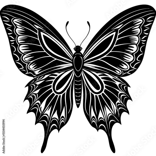 parides tros vector on white background