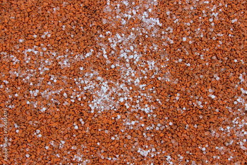 Round white snowflakes on the surface.