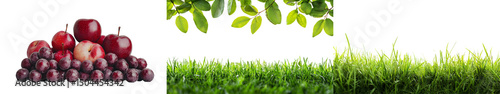 Fresh Juicy Apples and Bright Berries on Lush Green Grass with Gentle Leaves Above