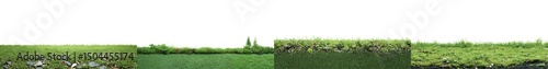 Lush Green Grass Texture with Variety of Natural Elements for Landscape Design Projects