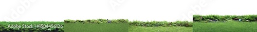 Lush Green Grass with Vibrant Flower Bed in Bright Natural Outdoor Setting