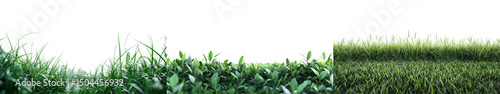 Lush Green Grass Background Perfect for Nature and Outdoor Themes in Creative Projects