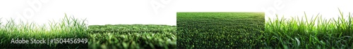 Lush Green Grass Texture Background with Vivid Colors for Nature and Landscape Themes