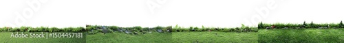Green Grass Lawn with Vibrant Flowers and Natural Greenery Accentuating Beauty