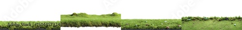 Close-Up View of Lush Green Grass and Wildflowers in a Natural Outdoor Setting
