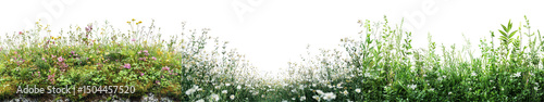 Vibrant Wildflowers Gently Swaying in a Sunlit Meadow with Lush Greenery Surrounding
