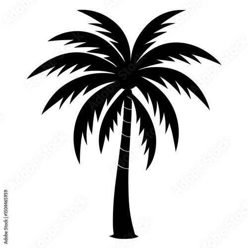 palm tree silhouette