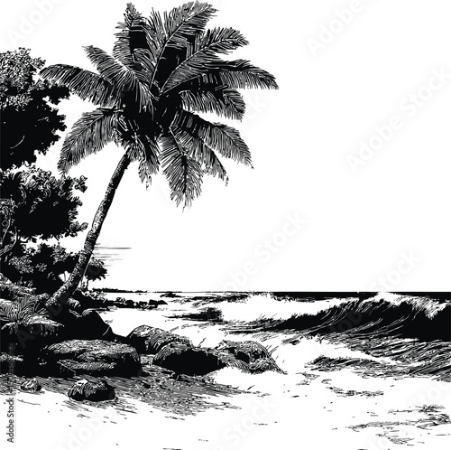 Black and white illustration of a tropical beach with palm trees and ocean waves. Vector illustration