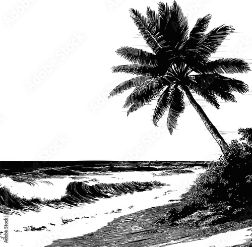Black and white illustration of a palm tree on a windy beach, vintage style. Vector illustration