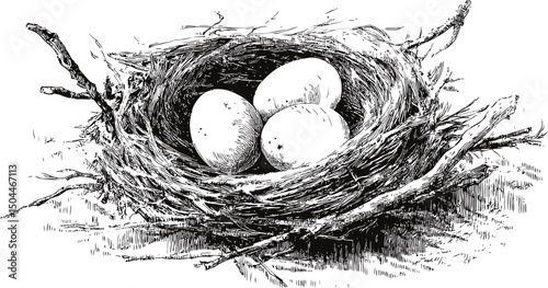 Illustration of three eggs in a detailed bird's nest with twigs and branches. Vector illustration