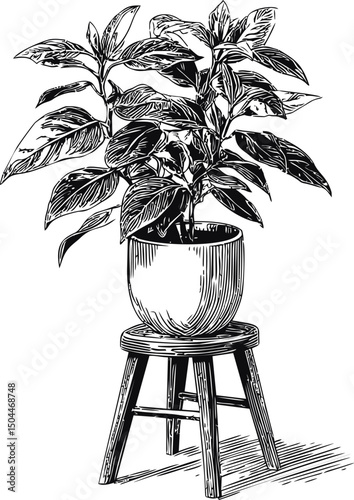Black and white illustration of a potted plant on a wooden stool. Vector illustration
