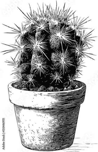 Detailed black and white illustration of a cactus in a pot. Vector illustration
