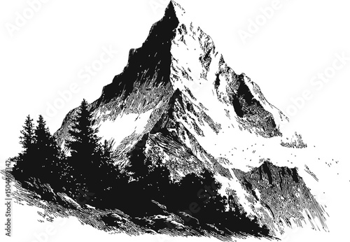 Monochrome sketch of a snow-capped mountain with evergreen trees, artistic view. Vector illustration