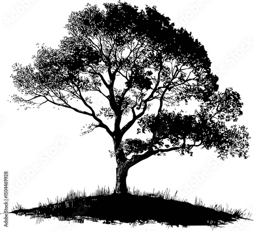 Silhouette of a lone tree on a grassy hill against. Vector illustration