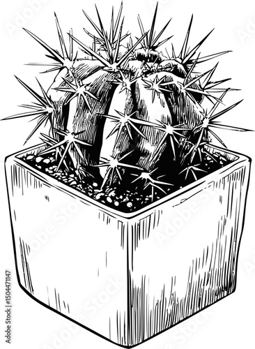 Line art of a spiky cactus in a square pot with intricate details. Vector illustration