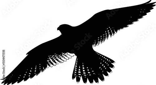 Silhouette of a majestic hawk soaring with outstretched wings in the sky. Vector illustration