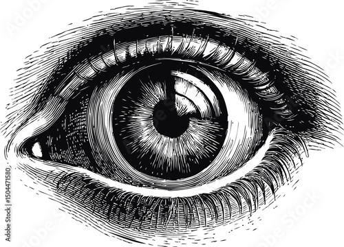 Detailed black and white etching of a human eye showing intricate texture. Vector illustration