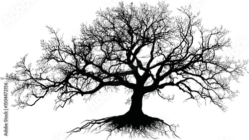 Silhouette of a large detailed tree with bare branches. Vector illustration