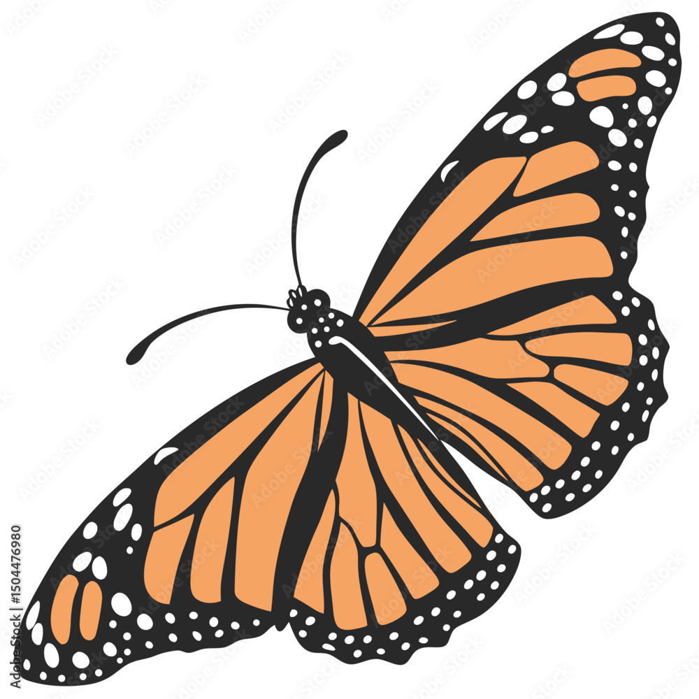 Fototapeta premium Elegant Monarch Butterfly