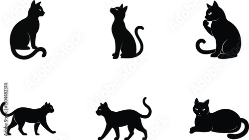 cat in different poses, silhouettes, and black figures vector 