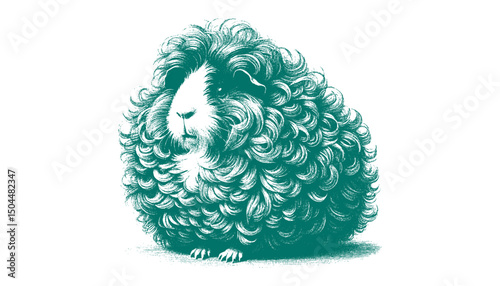 Abyssinian Guinea Pig vector