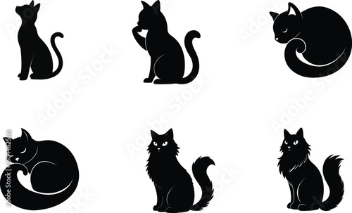 cat in different poses, silhouettes, and black figures vector 