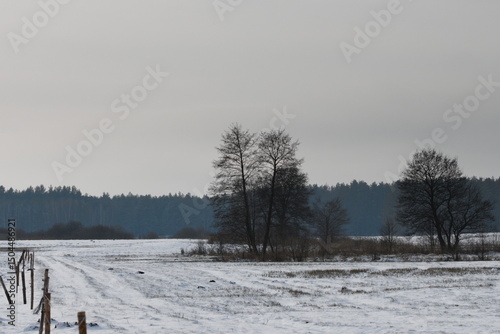 Wallpaper Mural sunset over the winter field Torontodigital.ca