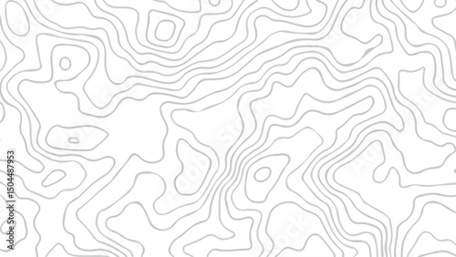 topography white background and black line wireframe isoline location diagram world map texture design.	
