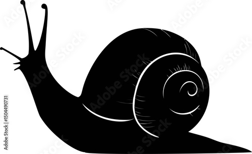 Silhouette of a snail with detailed shell in black and white illustration. Vector illustration