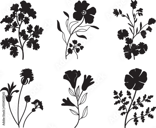 Six silhouettes of botanical flowers and plants