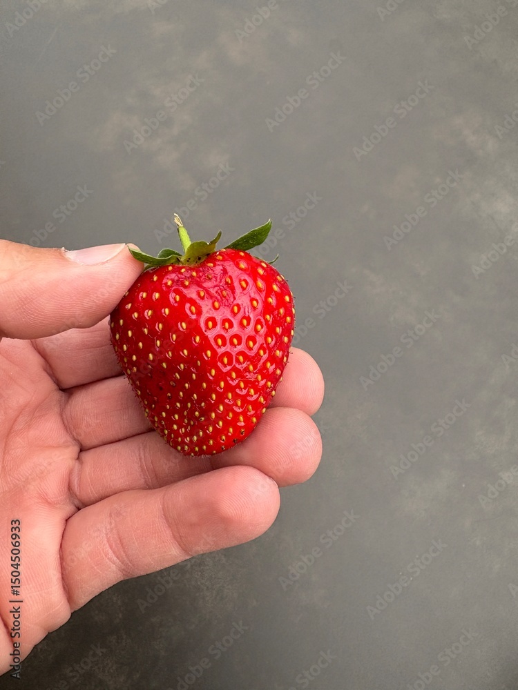 Obraz premium strawberry in hand