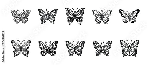 Butterfly  Collection 