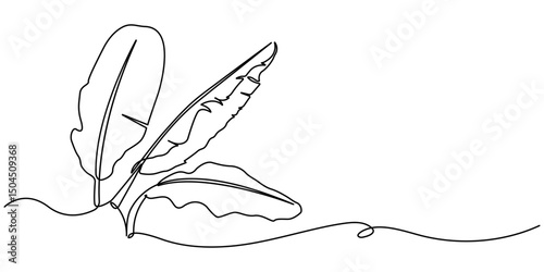 Bird of Paradise Banana Leaf Continuous Line Drawing. Palm leaf in one continuous line drawing. Outline leaf. Element for interior design pro. line art style vector illustration.