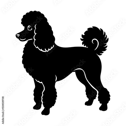 Poodle Silhouette vector
