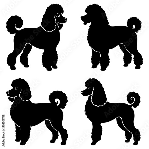Poodle Silhouette vector