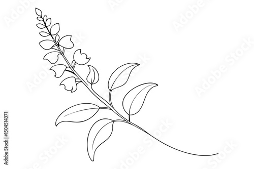 Snapdragon Flower Line Drawing with Branch Vector