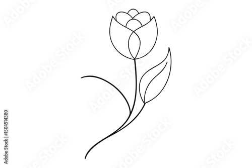 Tulip Line Art Illustration with Floral Details