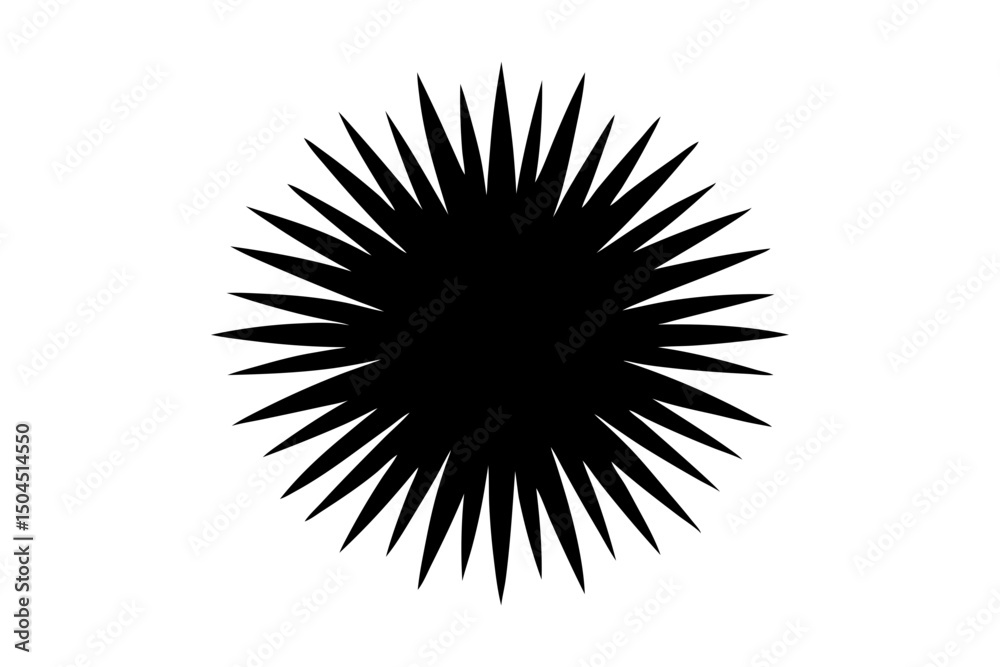 Fototapeta premium Sea Urchin Silhouette Marine Vector Drawing