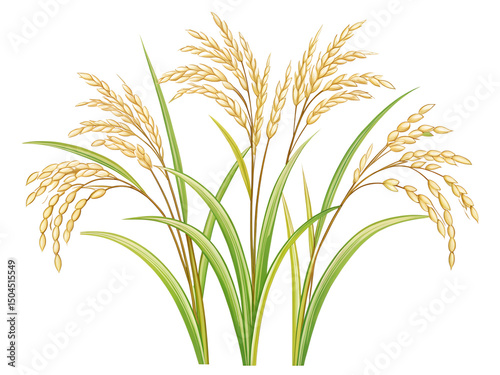 Simple Line Art of Rice Plant