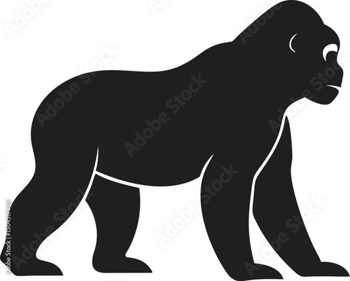 Black orangutan silhouette ape primate wildlife intelligent jungle mammal