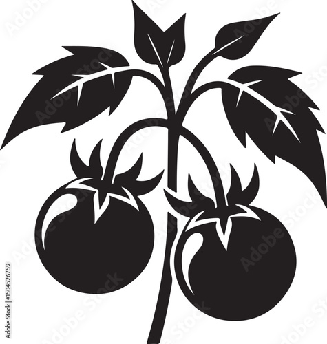 Deadly Nightshade Fruit Black Silhouette Vector, Poisonous Plant Clipart & Gothic Botanical Design