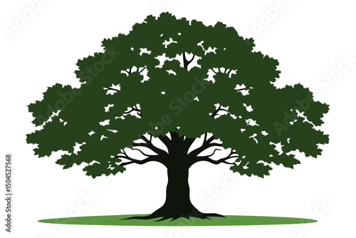 Isolated deciduous tree with green leaves and a dark trunk