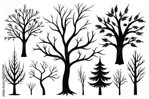 Silhouette Trees Collection Bare Branches Evergreen and Foliage in Black and White