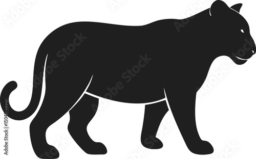 Black panther silhouette feline wild animal predator big cat strong powerful