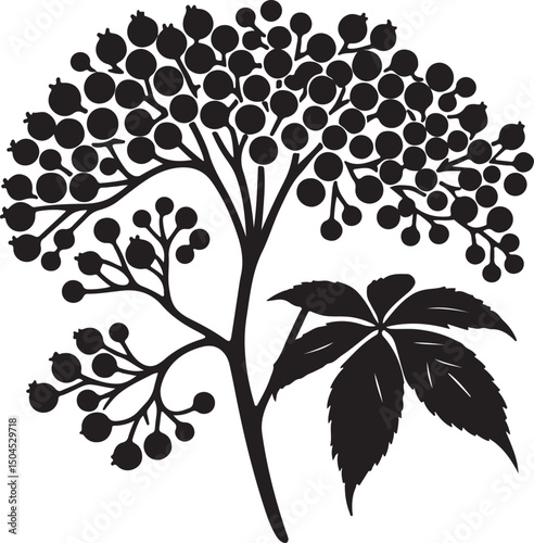 Elderberry Fruit Black Silhouette Vector, Botanical Berry Clipart & Herbal Design