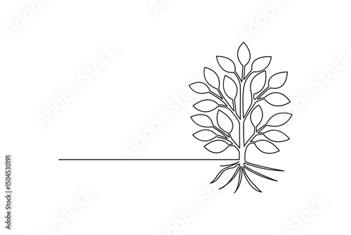 Plant growth process minimalist continuous one line art