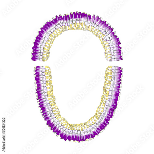 Hawaii Ginger flower and Orchid purple flower Lie 