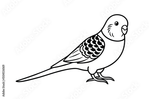 Adorable budgie bird line art illustration simple design
